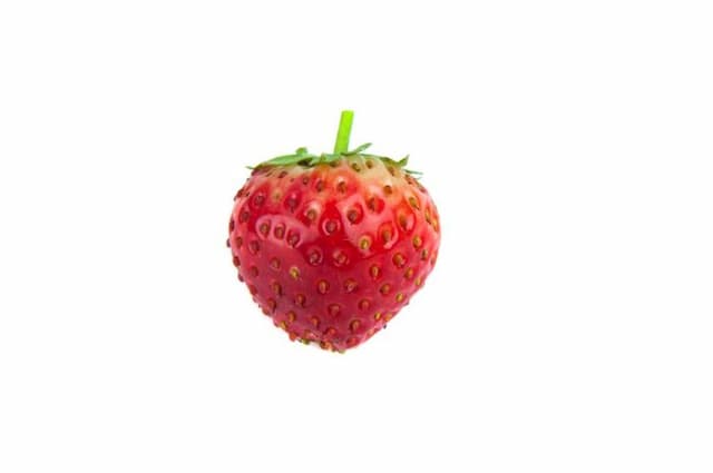 Strawberry 'Evie 3'