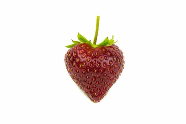 Strawberry 'Vibrant'
