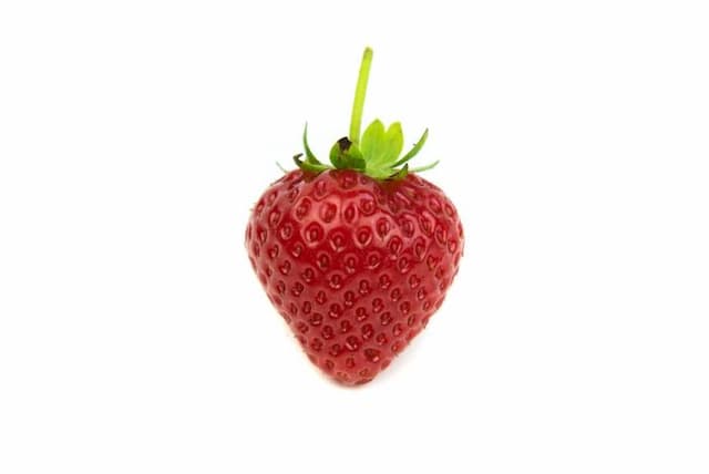 Strawberry 'Verity'