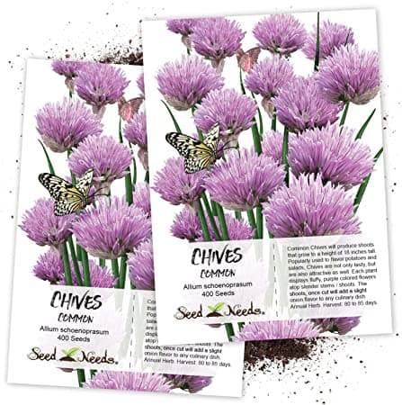 chives