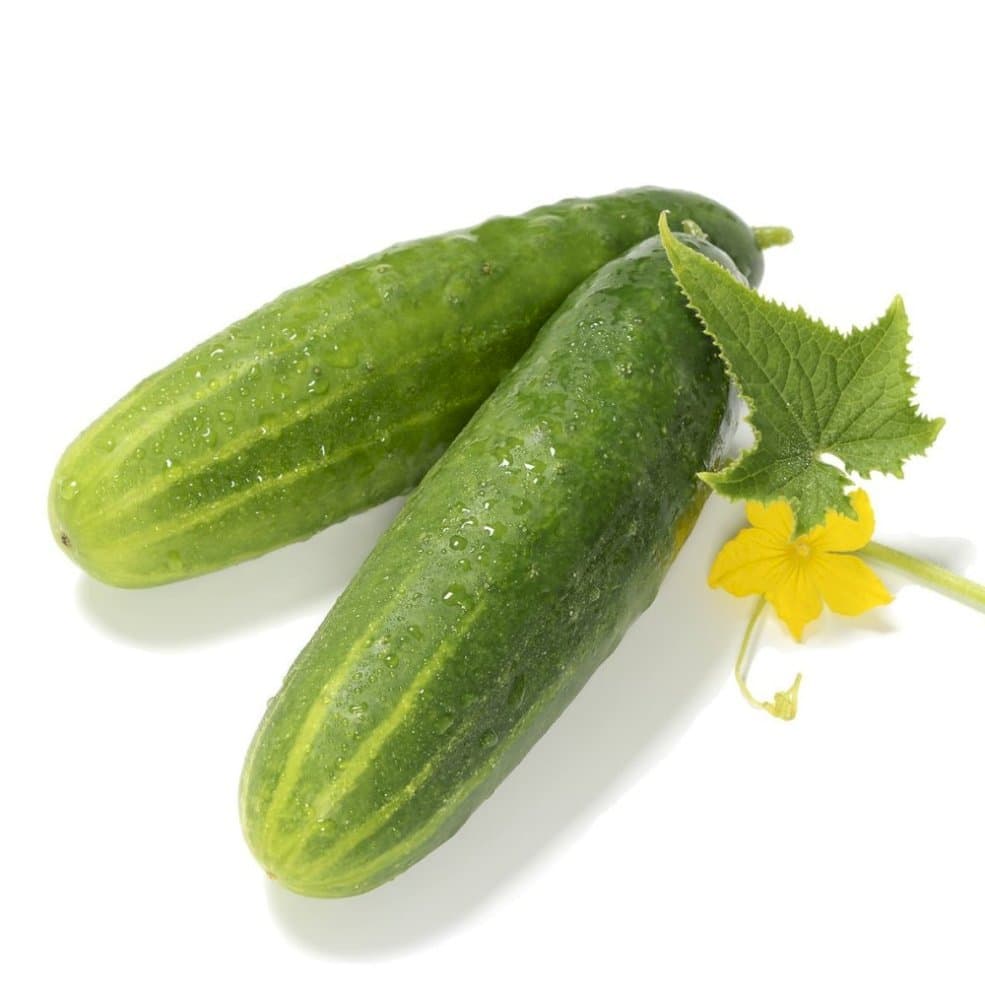 Cucumber 'MiniStars'