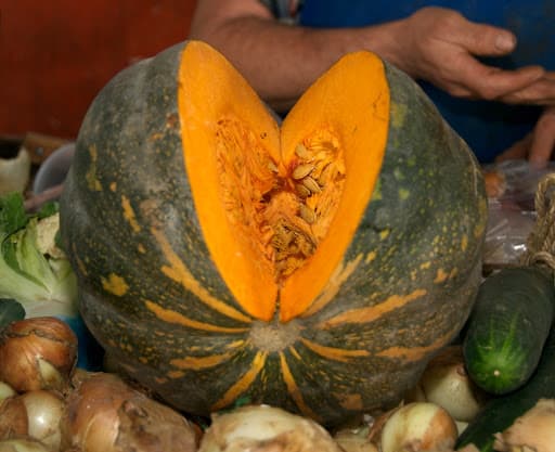 squash (butternut) 'Hunter'