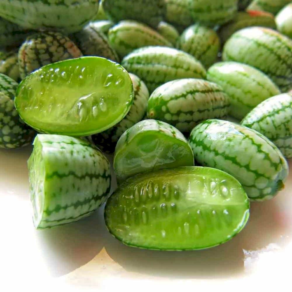 cucamelon