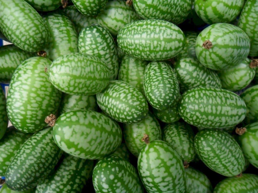 cucamelon