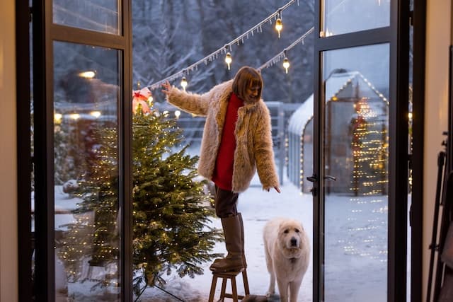 Discover the best Christmas tree care tips for long-lasting freshness