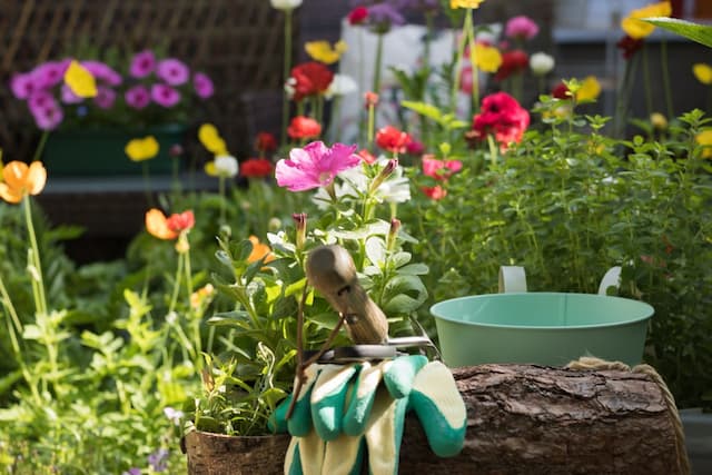 Gardening in August: Preparing for autumn