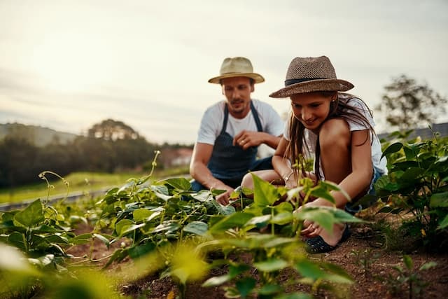 The gardener's guide to strengthening plant immunity