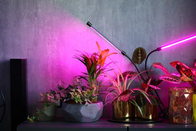 Why are grow lights important for houseplants?