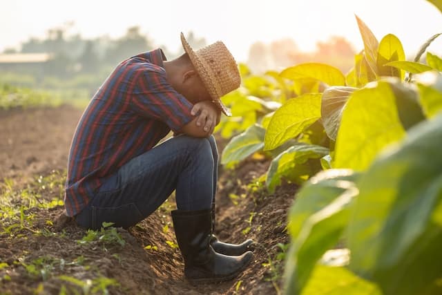 Without this tool, you will not be able to grow healthy plants