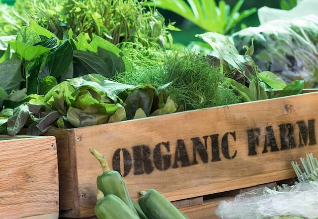 Eco-friendly farming: The basic principles of organic agriculture