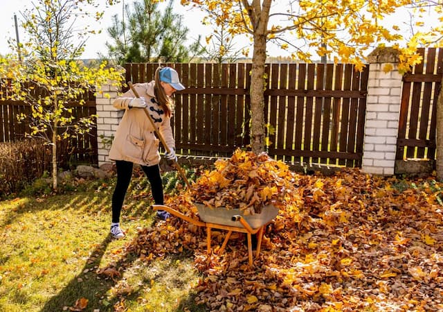 Getting your garden ready for winter: To-do list