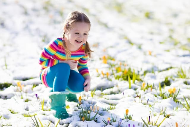 Awakening the garden: A guide to early spring blooms