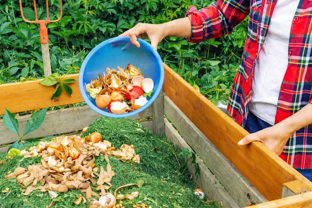 From trash to treasure. Composting for beginners