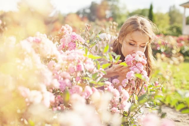 What no one tells you about planting these flowers