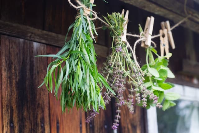 Ways of storing herbs + 3 must-try dressing recipes