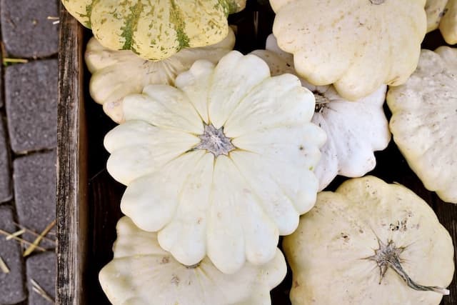 Pattypan squash